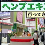 高樹沙耶と行く！大麻エキスポ視察 in タイ【前編】