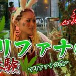 【違法薬物】タイのマリファナ(大麻)を初体験してみた