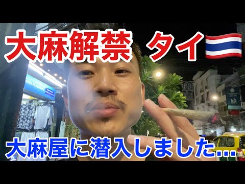 【衝撃】大麻ショップ10店舗に潜入レビュー【バンコク】【タイ】【マリファナ】