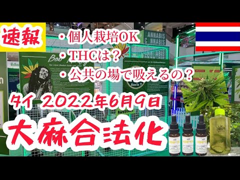 【速報】大麻・マリファナ合法化 タイ🇹🇭 2022年6月9日