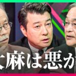 【大麻解禁の是非】専門家二人が真っ向対立「8兆円規模のマリファナ産業」日本は乗るべきか？