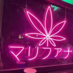 三年ぶりの訪タイ  CANNABIS 医療用大麻販売　合法だって！１８禁