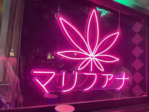 三年ぶりの訪タイ  CANNABIS 医療用大麻販売　合法だって！１８禁