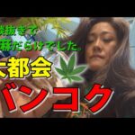 【超カオス！タイVlog続編】バンコクは大麻の楽園でした