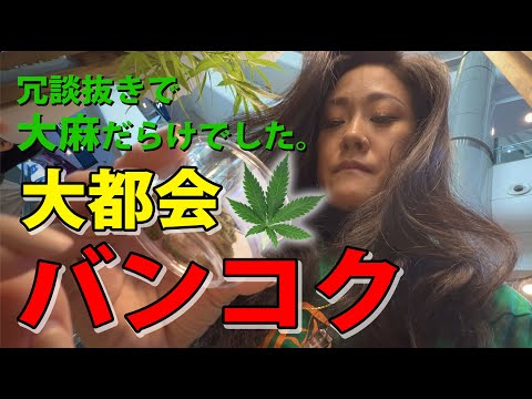 【超カオス！タイVlog続編】バンコクは大麻の楽園でした