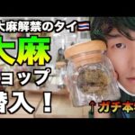 タイで大麻解禁！大麻ショップで大麻を買って吸う。※視聴者プレゼントあり