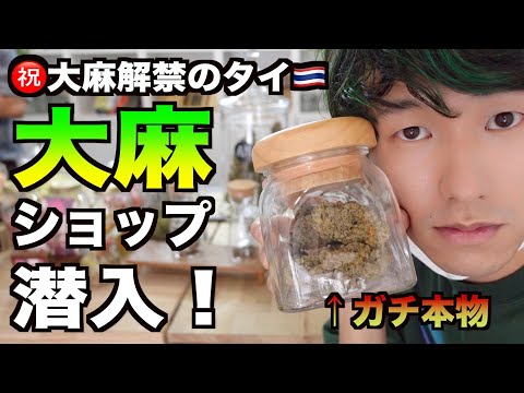 タイで大麻解禁！大麻ショップで大麻を買って吸う。※視聴者プレゼントあり