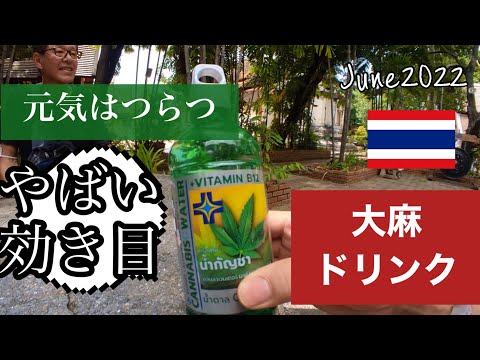 【注意】大麻ドリンクで落ちるの巻パタヤの大麻の天ぷらと同じ症状が出た! セブンイレブンで好評販売中！