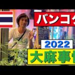 【大麻買えるか挑戦してみた】タイ・バンコクの大麻市場調査