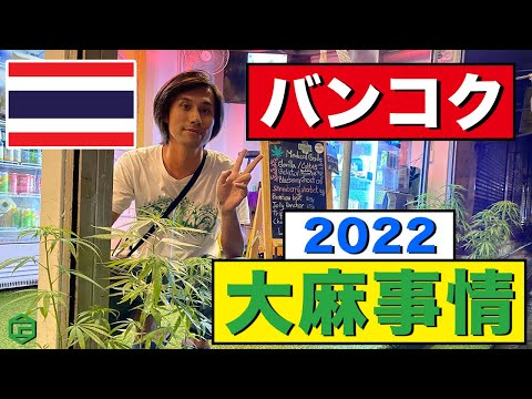 【大麻買えるか挑戦してみた】タイ・バンコクの大麻市場調査