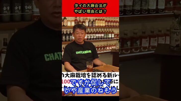 【ホリエモン】タイの大麻合法がやばい理由とは？