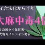 【タイ】大麻合法化から半年、中毒者４倍で再警告！急遽、タイ保健省「観光客向けガイドライン」発表