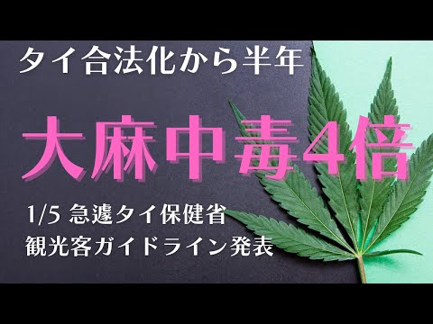 【タイ】大麻合法化から半年、中毒者４倍で再警告！急遽、タイ保健省「観光客向けガイドライン」発表