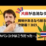 2023年版！タイの大麻事情とは？！　大麻が合法の国からレポートします