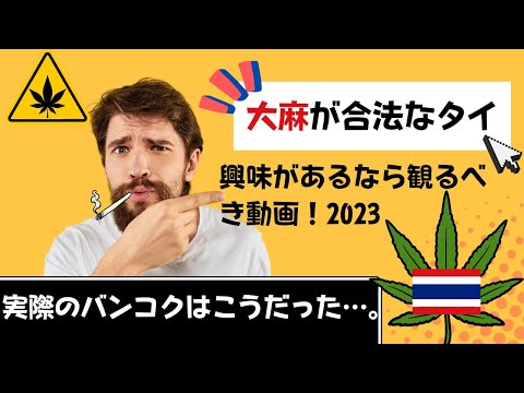 2023年版！タイの大麻事情とは？！　大麻が合法の国からレポートします