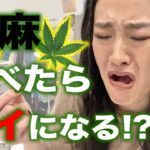 ハイグレード大麻を2g食べてみた