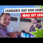 Cannabis auf Koh Samui, was ist legal? Thailand