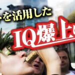 大麻チートで人生を変える方法【はみラジLIVE切り抜き】| マリファナ/IQアップ/タイ