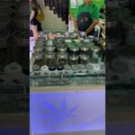 New Vlog Cannabis Dispensary’s in Phuket Town #strainhunter #phuket #thailand