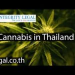 Should Cannabis Be Labeled “a Kind of Narcotic” Per Thai Law?