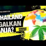 THAILAND NEKAT HALALKAN GANJA, Masalah Baru Muncul?berita