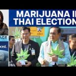 Thailand Elections: Why Weed Is Becoming a Big Election Issue | Vantage with Palki Sharma