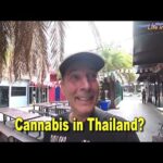 What’s going to happen to Cannabis in Thailand?