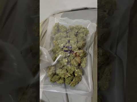 Cannabis Farm Bangkok Thailand Cannabis Store Wholesale Price hemp marijuana shop