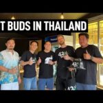 Fast Buds in Thailand | Legal Cannabis Paradise in Asia