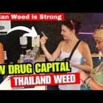 सब  Ganja खरीद रहें हैं  Indian EXPLORING Weed SHOP In Thailand | Is Thailand the New WEED Capital?