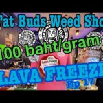 LAVA FREEZE Cannabis Review | Fat Buds Dispensary Reviews Ep 17| Bangkok Weed Thailand 2023 🥦🇹🇭