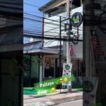 🇹🇭Pattaya 🍃😎🧐Weed shop🍃😏 cannabis🇹🇭