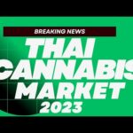 Thailand’s Cannabis Revolution: Transforming the Cannabis Market