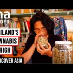 The Highs And Lows Of Thailand’s Cannabis Rush | Undercover Asia