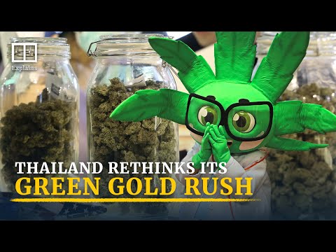 Why Thailand’s weed legalisation policy could go up in smoke