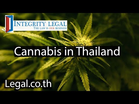 “Foreign Customer Register” Forms for Cannabis in Thailand?