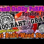 GRAND DADDY PURPLE Cannabis Review | Fat Buds Dispensary Reviews Ep 18| Bangkok Weed Thailand 2023