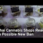 New Thai Government Could Recriminalize Cannabis | TaiwanPlus News