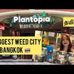 Smoking Weed ☘️ First Time 🤯 in Bangkok, Thailand 🇹🇭