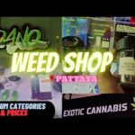 Weed Shop | DANQ | Pattaya | Thailand Tour Vlog