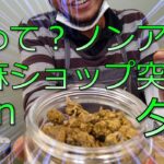 タイ王国の大麻ショップにノンアポで突撃！？これが現実！？日本では絶対にあり得ない光景に感動！！