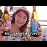 【プーケット】ビール飲んだくれてるASMR♬リオビール vs タイガービール対決!!違いは歴然!!あなたならどっちを選ぶ？