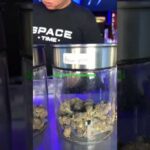 Cannabis shop – space time – Chiangmai #thailand