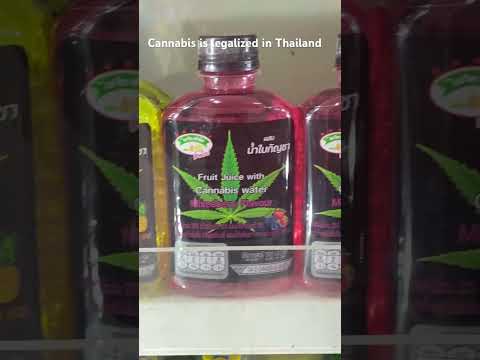 Ganja – Cannabis in Thailand