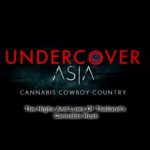 The Highs and Lows of Thailand’s Cannabis Rush