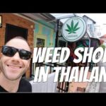 Weed Shop Tour in Thailand | Chiang Mai