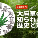 大麻草の知られざる歴史と効能