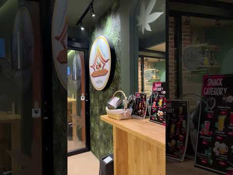 Cannabis Thailand | Hemp Tea | Weed Shop Tour in Bangkok Thailand #shorts #trending