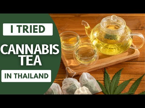 Cannabis Thailand | Weed Shop Tour in Bangkok Thailand | Cannabis Tea/Hemp Tea | Dos & Don’ts