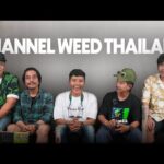 Channel Weed Thailand | The Grind Never Stops Ep. 7